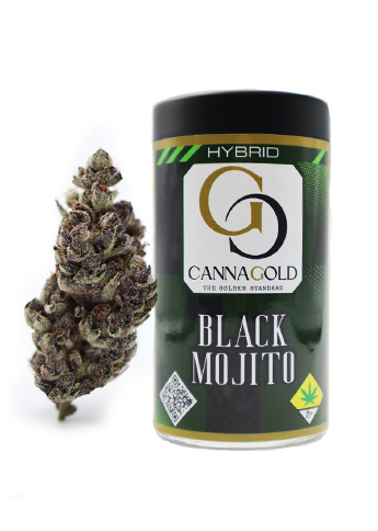 Black Mojito – Black Lime Reserve x Tropicana Cookies (Hybrid)